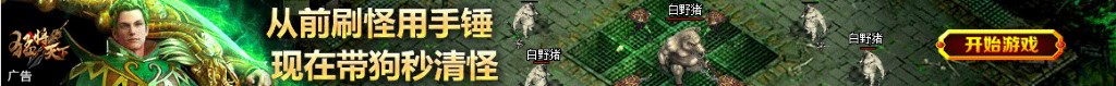 中国版qe